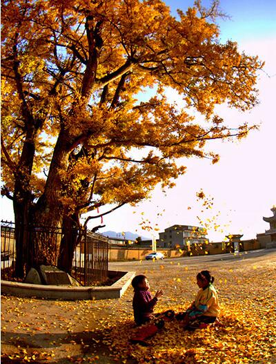 中國(guó)衡陽(yáng)新聞網(wǎng) yixingyaoji.com.cn