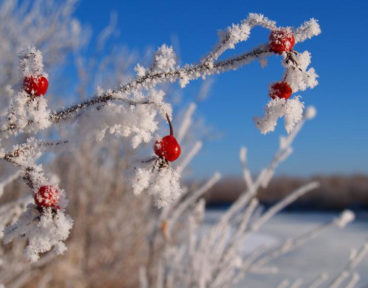 中國(guó)衡陽(yáng)新聞網(wǎng) yixingyaoji.com.cn