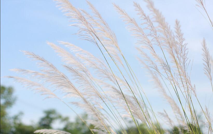 中國衡陽新聞網 yixingyaoji.com.cn