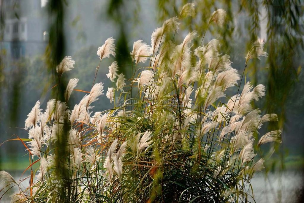 中國衡陽新聞網 yixingyaoji.com.cn