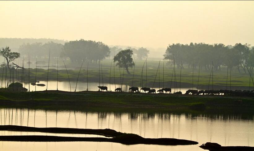 中國衡陽新聞網 yixingyaoji.com.cn